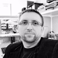 Haris Avdic