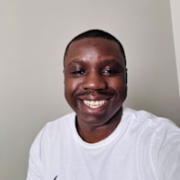 Ngonidzashe Mangudya