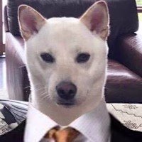 Noah avatar