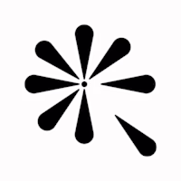Black Flower Design Studio