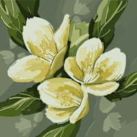 Olena avatar