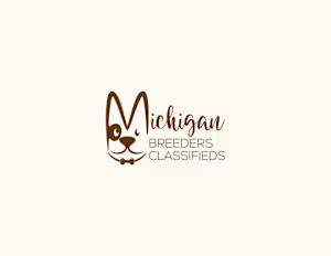 This collection showcases a range