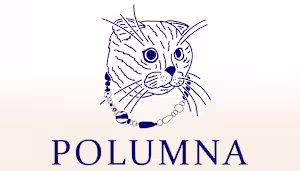 Branding & packing for POLUMNA (UA handcrafted jewelry) on Beha…