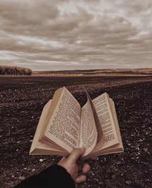 I'll write an amazing fiction book for you.