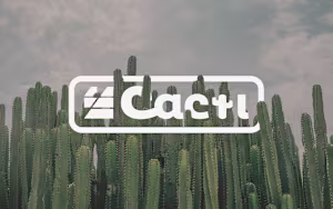 Cacti Creative Co. Brand Identity on Behance