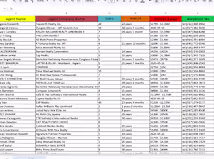 These tasks involve B2B lead