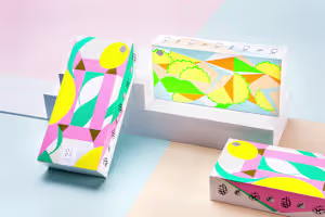 SUNNYGOGO｜DRIED FRUIT