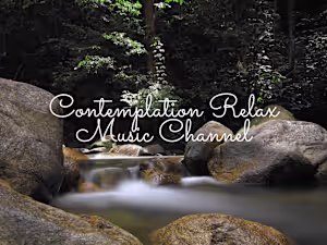 Social Media Marketing Campaign for YouTube Channel