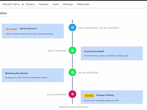 Timeline Flow View App - NextJs, React