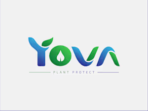 Modern Wordmark Logo