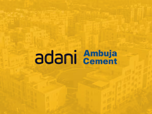 Partnered with Story Digital to