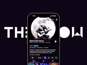 TheFlow UX/UI Design