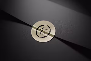 THEFORTIS | Brand Identity :: Behance