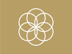 Christian Brian Gomez - Evolve