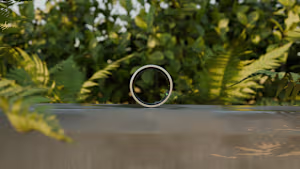 Hart Ring 3D Animation Video