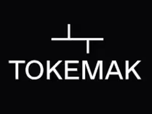 Tokemak: a nuclear disaster