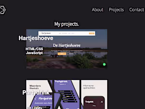 Portfolio  · Website