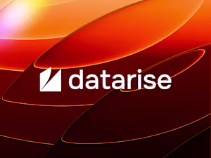 Datarise - Brand Identity