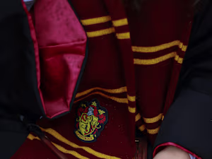 10 Harry Potter Theories: Canon or Fanon?