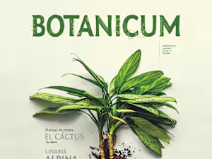 Botanicum • Magazine on Behance