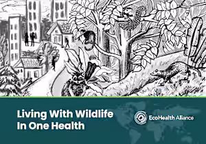 Pitch Deck Design | Presentation Designs