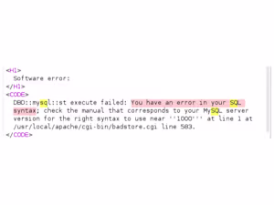 Comprehensive Web Application Penetration Testing