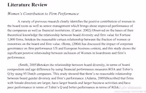 I wrote literature review for