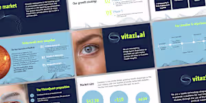 Vitazi.ai Visual Identity 