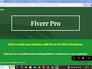 Fiverr Pro