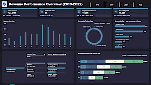 The Revenue Performance Overview provides