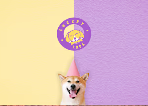 Cherrypops Brand Identity