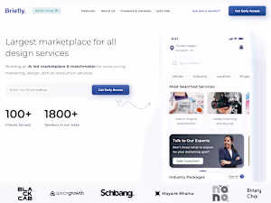 Figma/XD to Webflow Website from Website Design