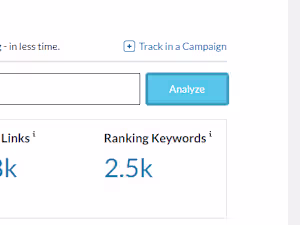 Got A Hit Website From Google Update And Make It Profitable.