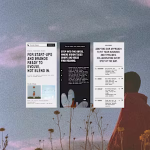 Website design and build