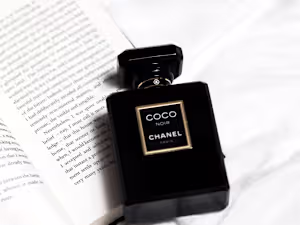 Driving Results with Persuasive PPC Ads