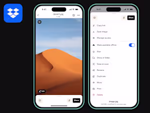 Dropbox Mobile App: File Action Sheet