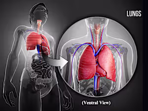 Project: Designing Visual Aids for Medical Presentations
