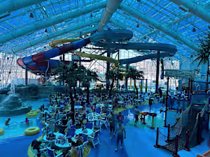 Social Media Creation 