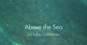 Above the Sea - Aerial Videography / Editing
