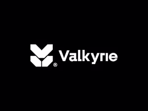 Valkyrie® - Fictional Brand's Logo Design