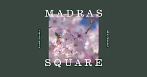 Madras Square – Webflow Development
