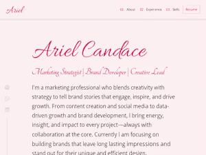 Personal CMS Portfolio