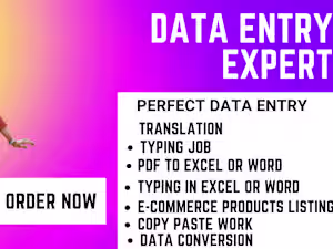 data entry expert