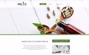 Senior Software Engineer at Prolifix