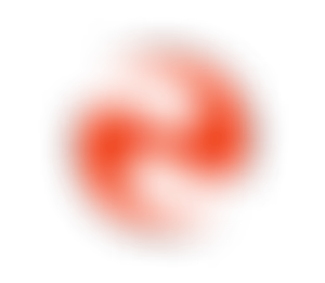 Poco Villa | SPACE PROJECT