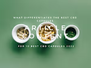 10 Best CBD Capsules for 2022.pdf