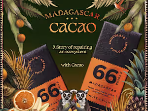 Brand Identity - Chocolate Philosophy