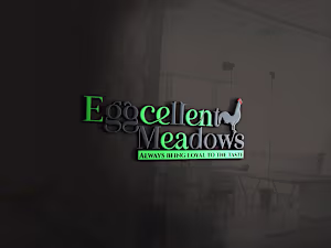 Eggcellent Meadows (Poultry Farm Logo Design Project)