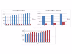 Business Budget & Forecast Template