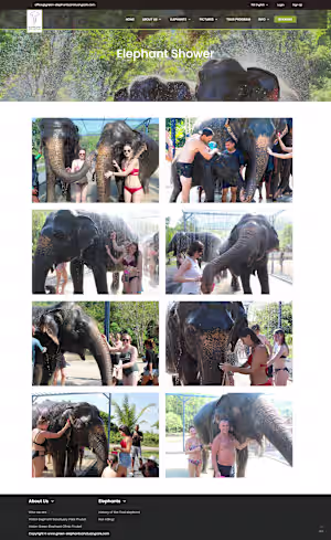 Green Elephant Sanctuary